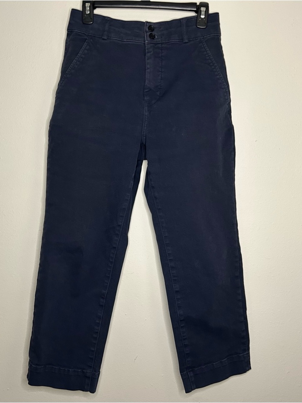 Everlane Navy Zip-Front High-Waist Chinos